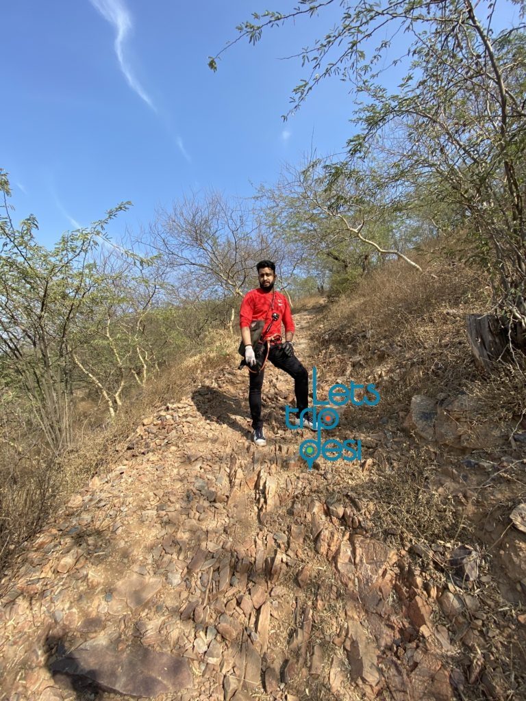 flying fox in neemrana