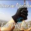 FLYING FOX IN NEEMRANA | ZIPLINE IN NEEMRANA