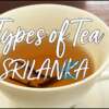 TYPES OF TEA IN SRILANKA | WORLDS MOST EXPENSIVE TEA!! WHITE TEA?
