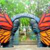 butterfly park delhi address