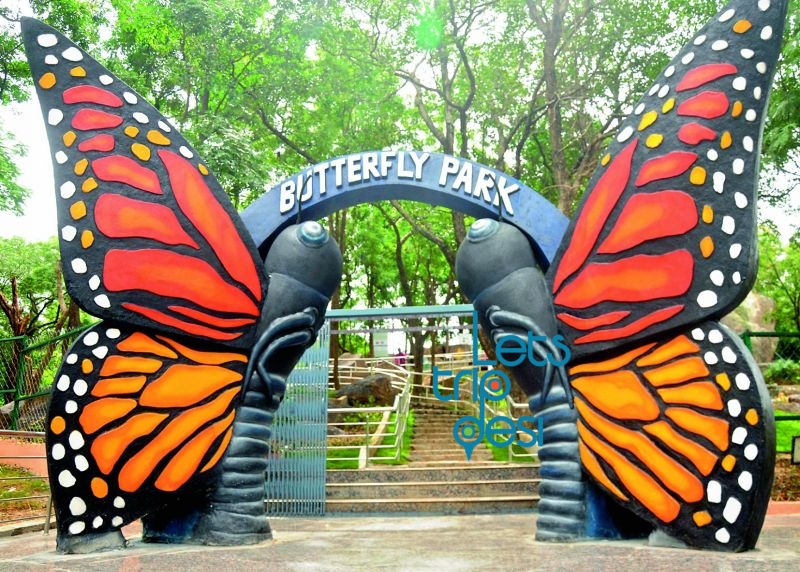 butterfly park delhi address