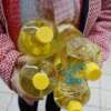 Get Ready to Pay More for Cooking Oil and This is The Reason