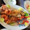 Best Seafood Restaurants in Delhi If You Love Seafood Too Much