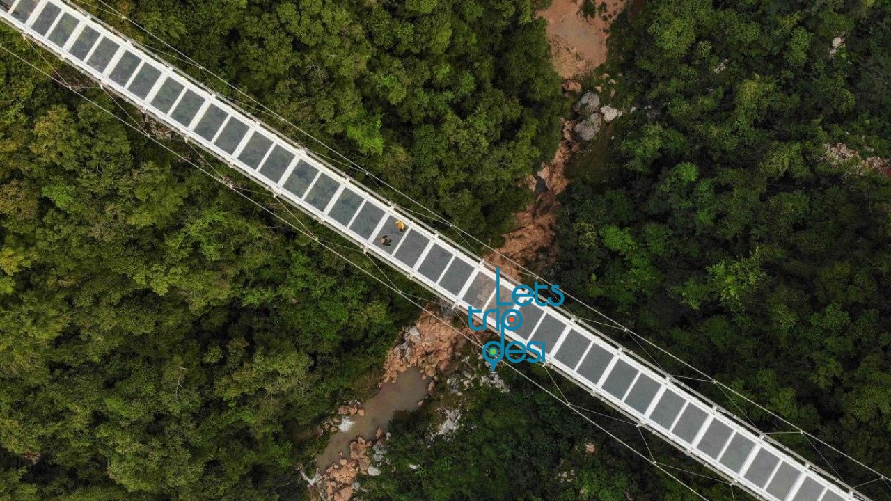 The World’s Largest Glass Bottom Bridge Opened in Vietnam To Promote Tourism