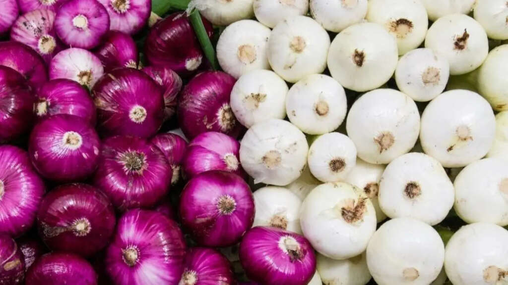 Red Onions Or White Onions: Which Is Healthier?