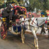 Return to Childhood Memories With These Tonga Ride Tours In India