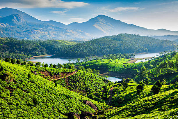 Munnar Travel Guide: Best places to visit