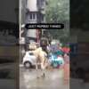 In Heavy Mumbai Rains Swiggy Delivery Man Rides Horse To Deliver Food