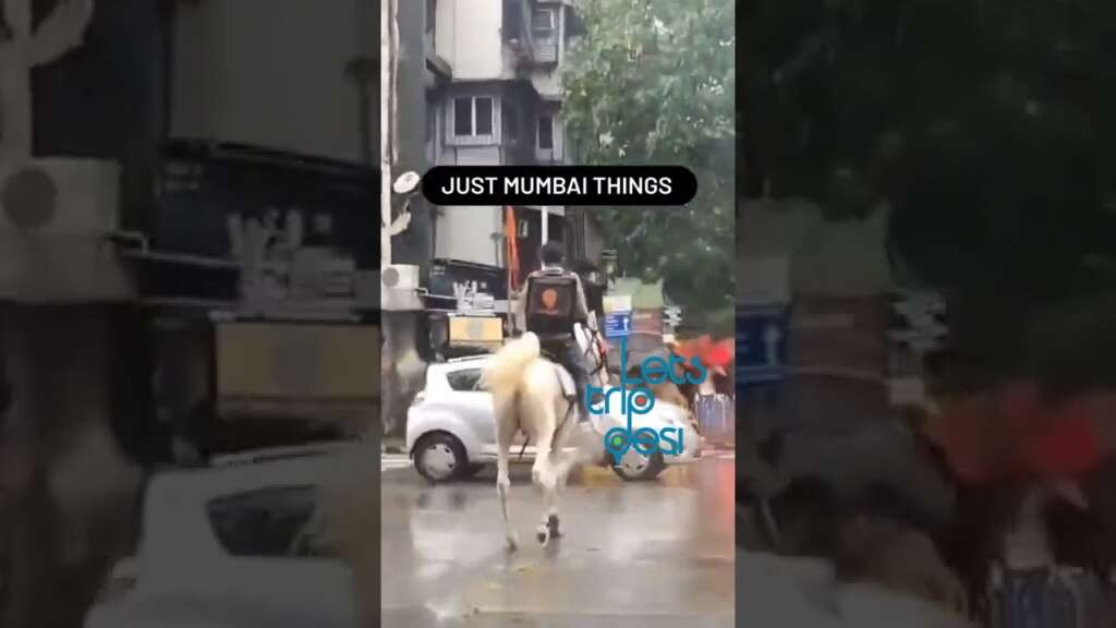 In Heavy Mumbai Rains Swiggy Delivery Man Rides Horse To Deliver Food