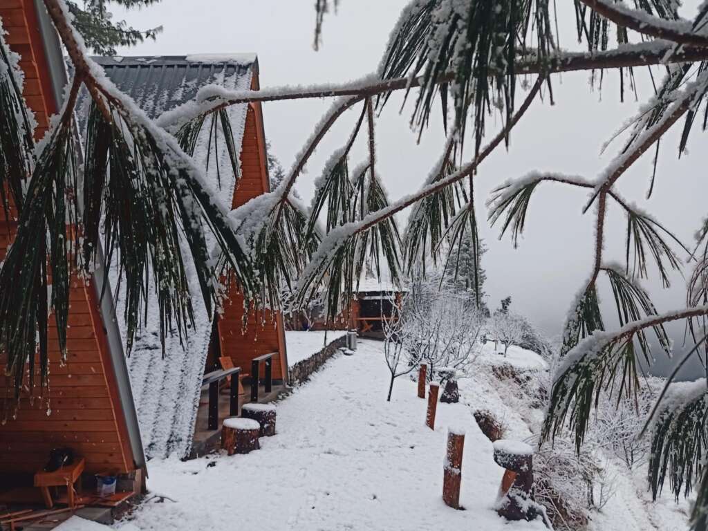 Stone House In The Woods Of Himachal