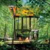 Glass Roof Cabin In A Forest!
