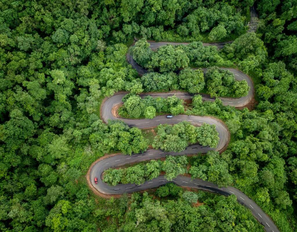 Andhra Hill station a marijuana paradise