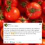 Woman Living in Dubai Brings 10 Kg of Tomatoes As a Gift to Her Mother. Are Tomatoes Cheap There?