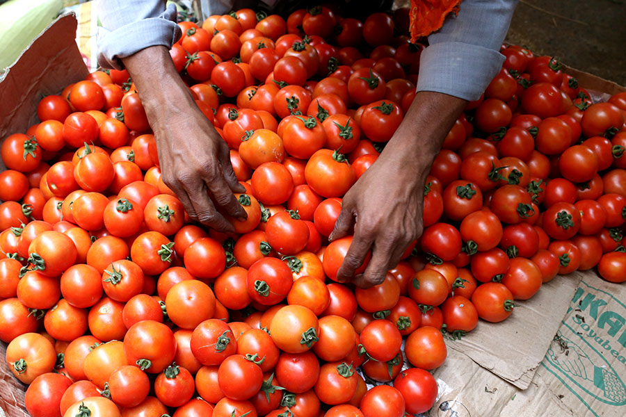 You Can Get 2 Kg of Tomatoes For Free at MP Store When You Buy…
