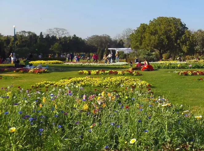 ved van park noida