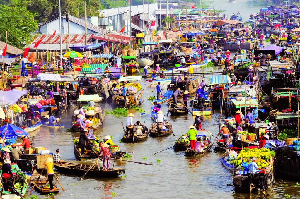 mekong delta river