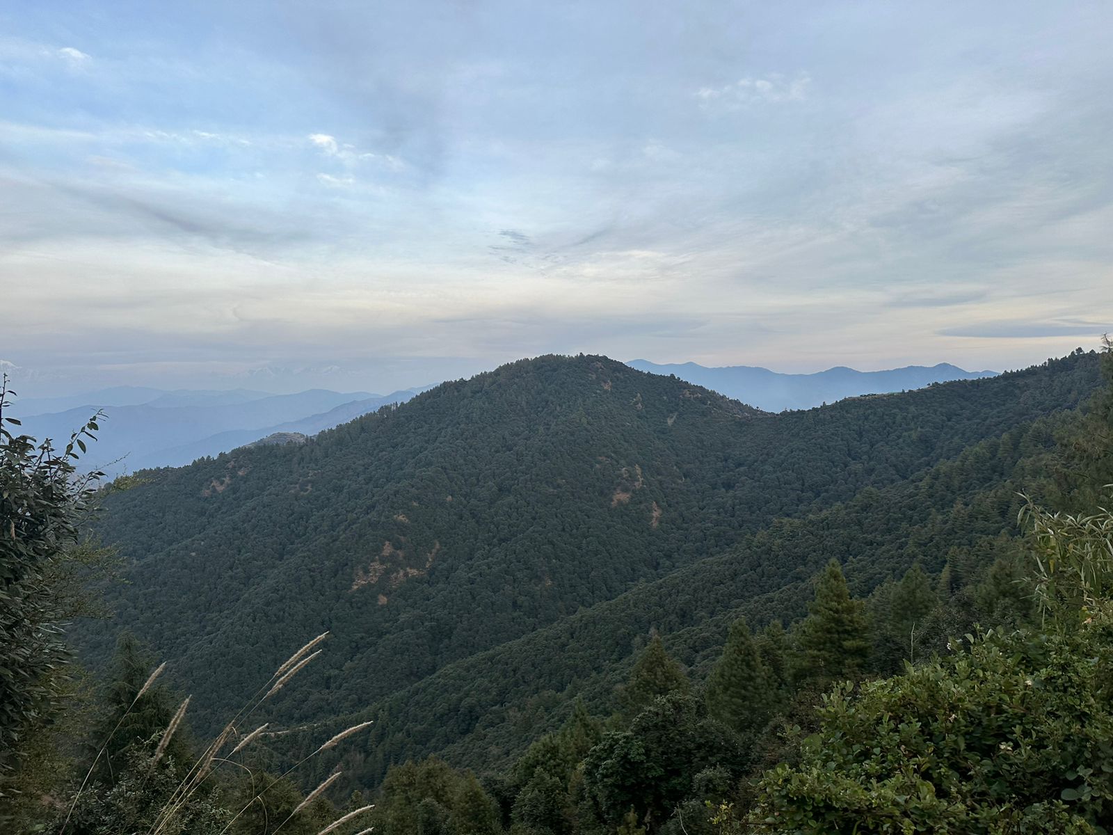 Chakrata Travel Guide: A Hidden Paradise in Uttarakhand - Things to do in Chakrata scenic beauty offbeat travel destination hill station